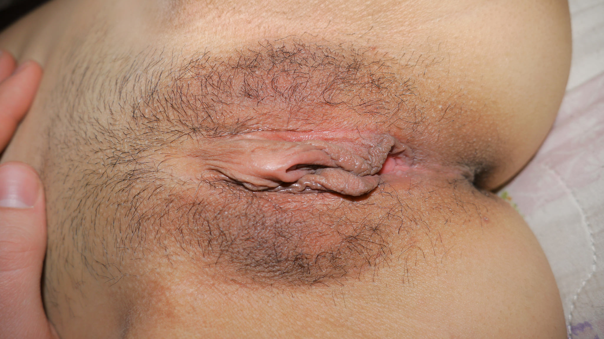 Ali Sutera, New York