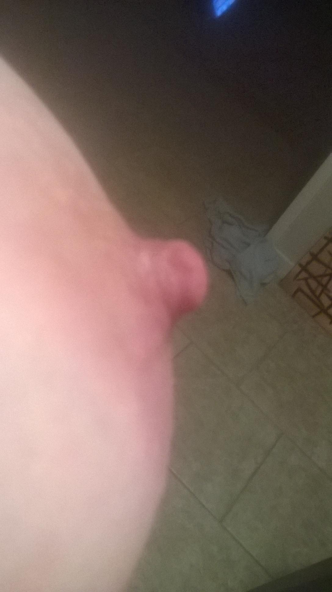 Ali Sutera, New York