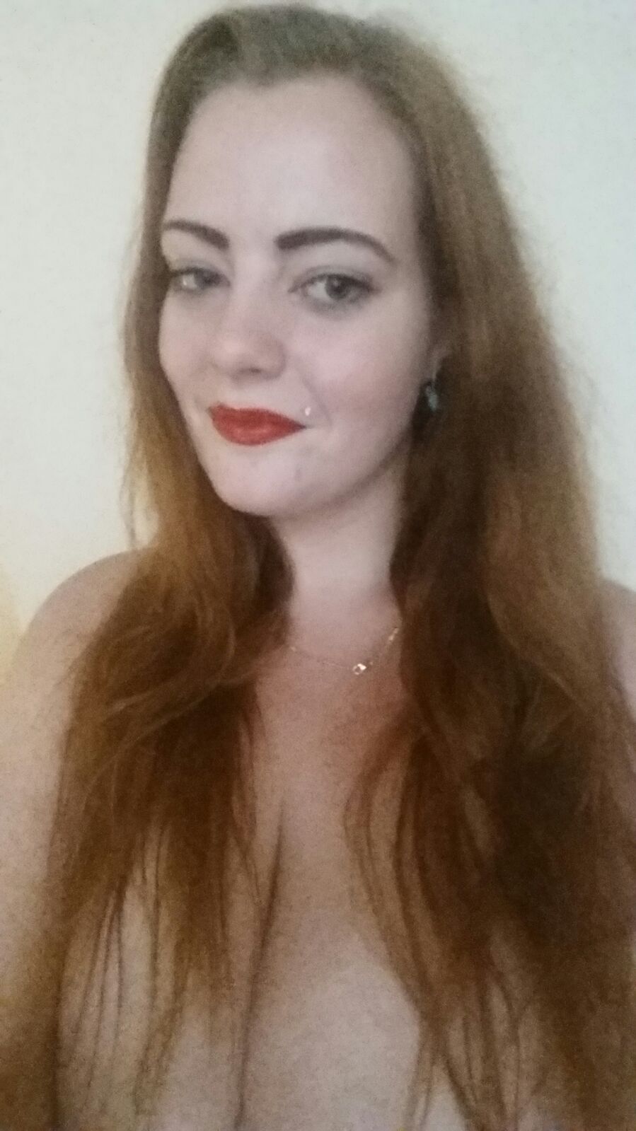 Expose Diaries Part 1. Busty Dutch Redheaded Whore