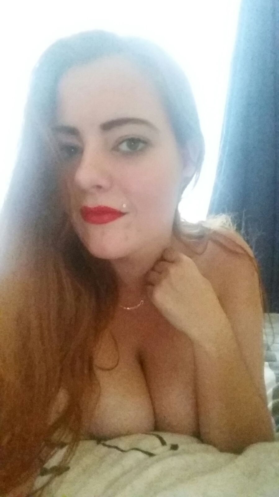 Expose Diaries Part 1. Busty Dutch Redheaded Whore