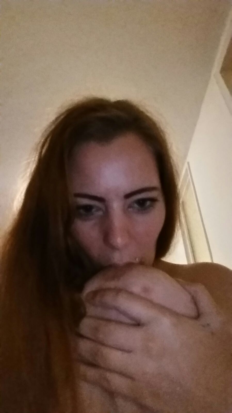 Expose Diaries Part 1. Busty Dutch Redheaded Whore