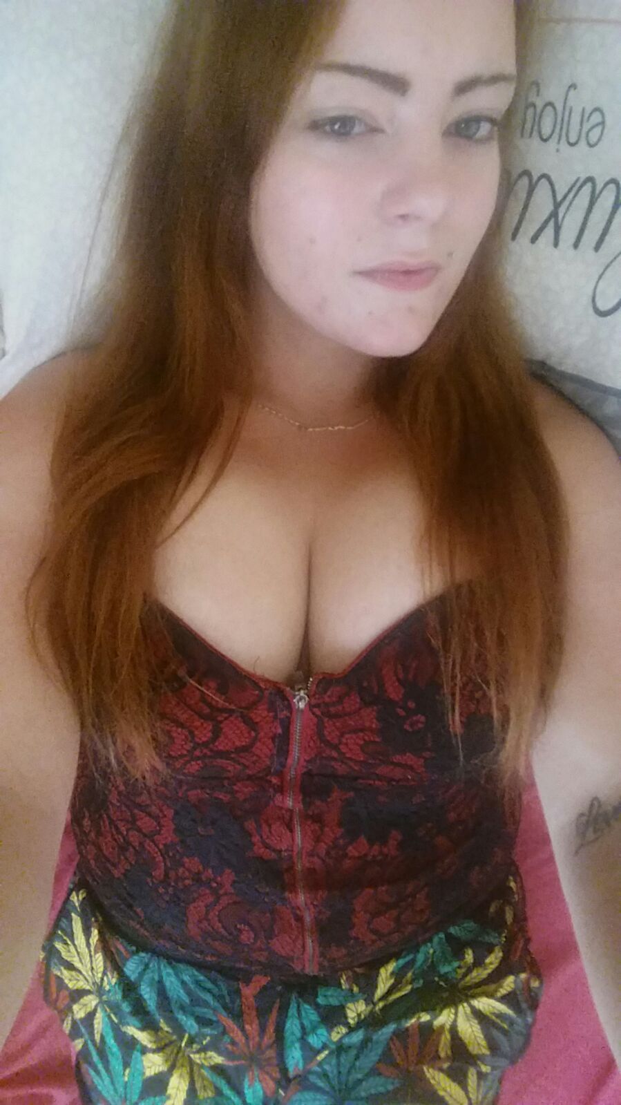 Expose Diaries Part 1. Busty Dutch Redheaded Whore