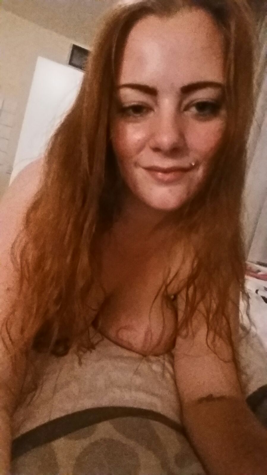 Expose Diaries Part 1. Busty Dutch Redheaded Whore