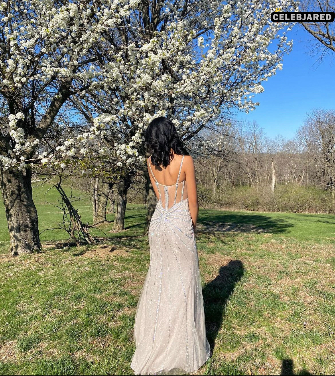 she's an internet whore now