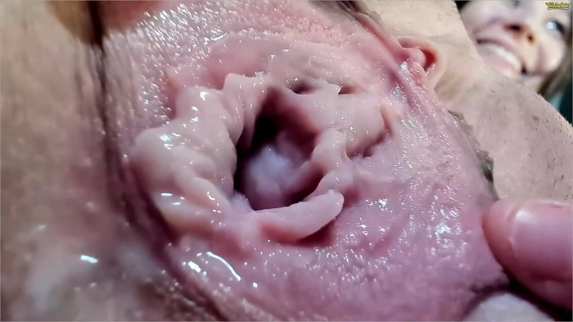 The most beautiful vaginas