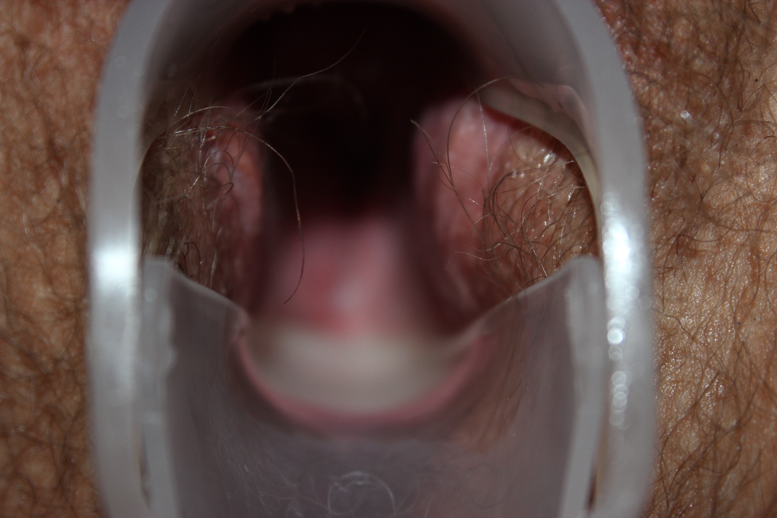 Dirty bitch StarSlut