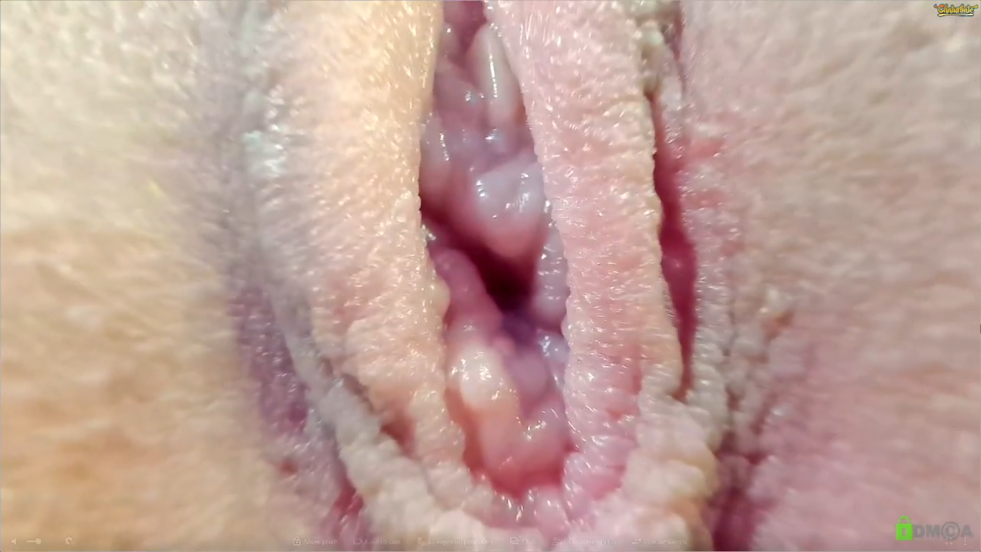 The best pussy you will ever see in your life