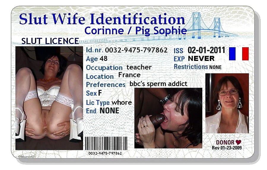 CORINNE LOSSANT VIDE COUILLES