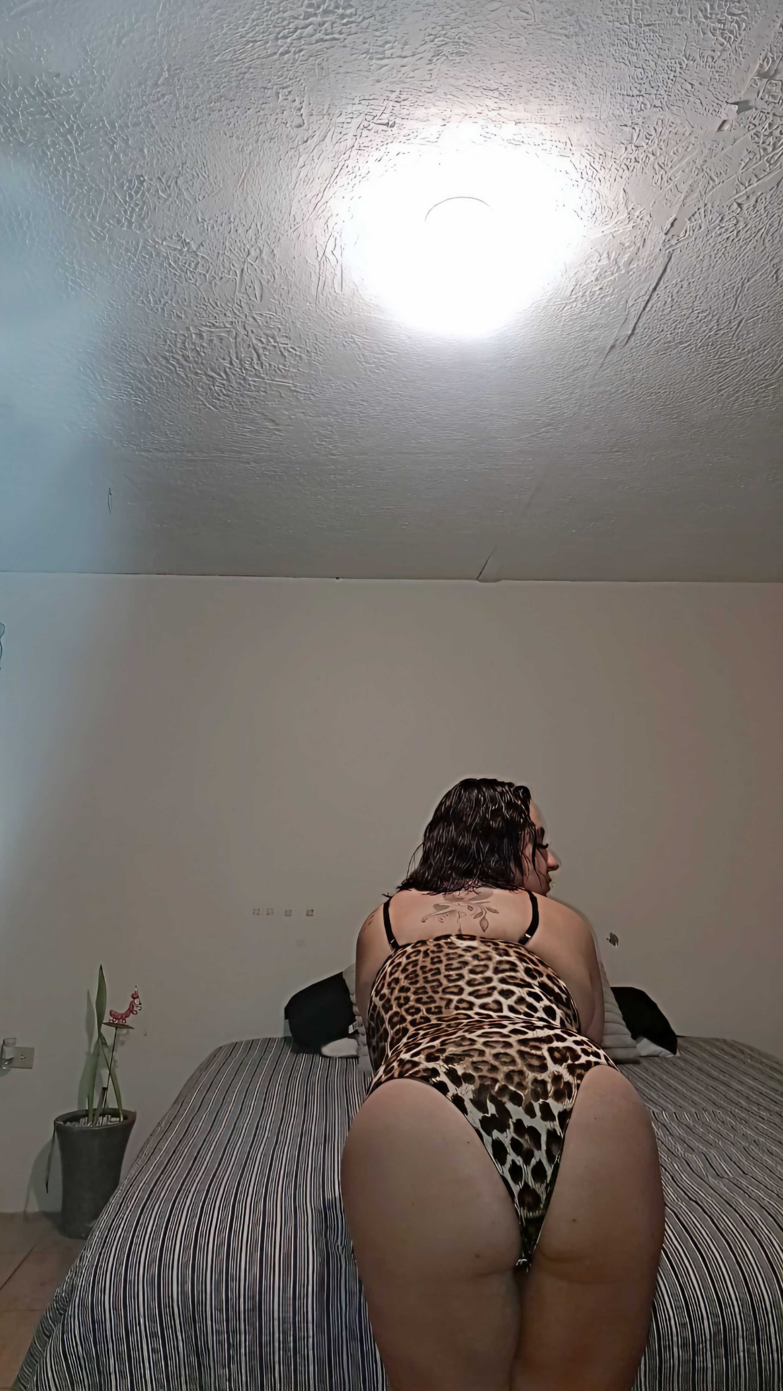 Culo y panocha empinadas de la Danielita cachonda