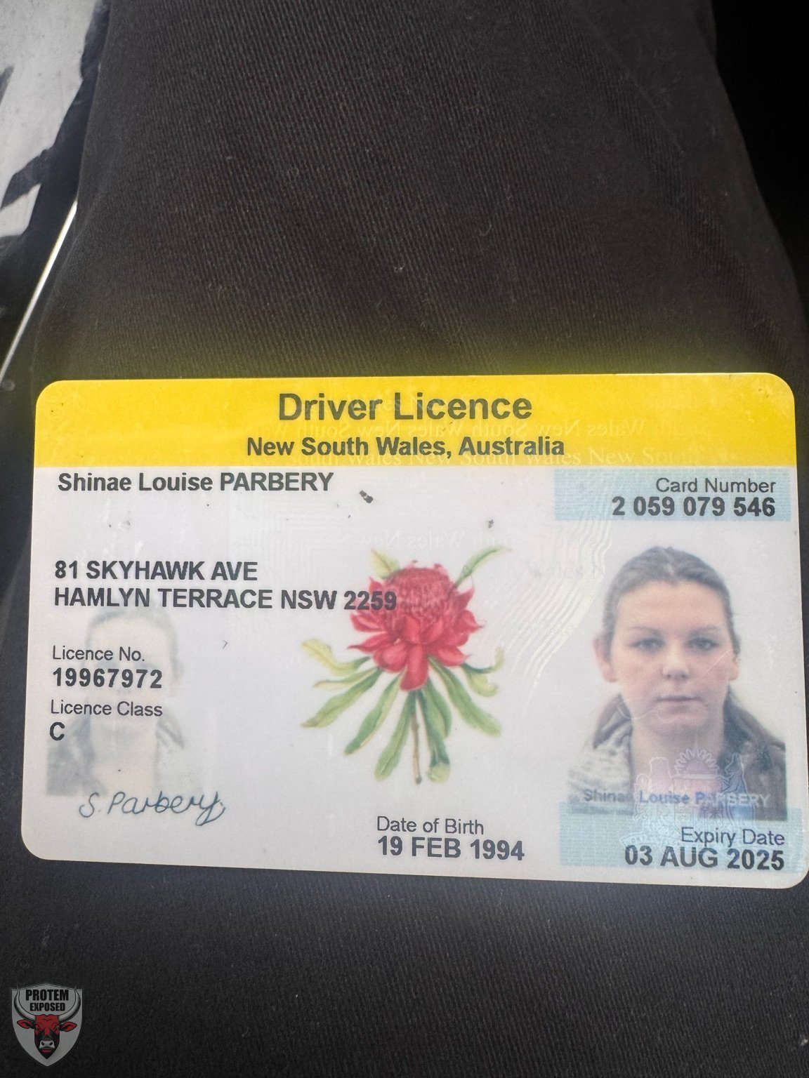 Shae Louise Brisbane slut