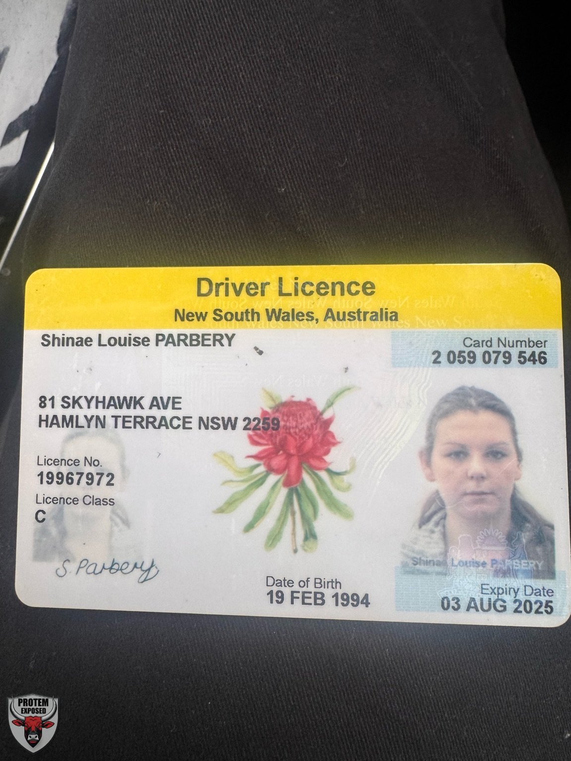 Shae Louise Brisbane slut