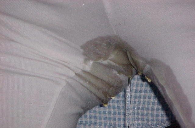 Kathy Sims from Salem oregon, Flashes