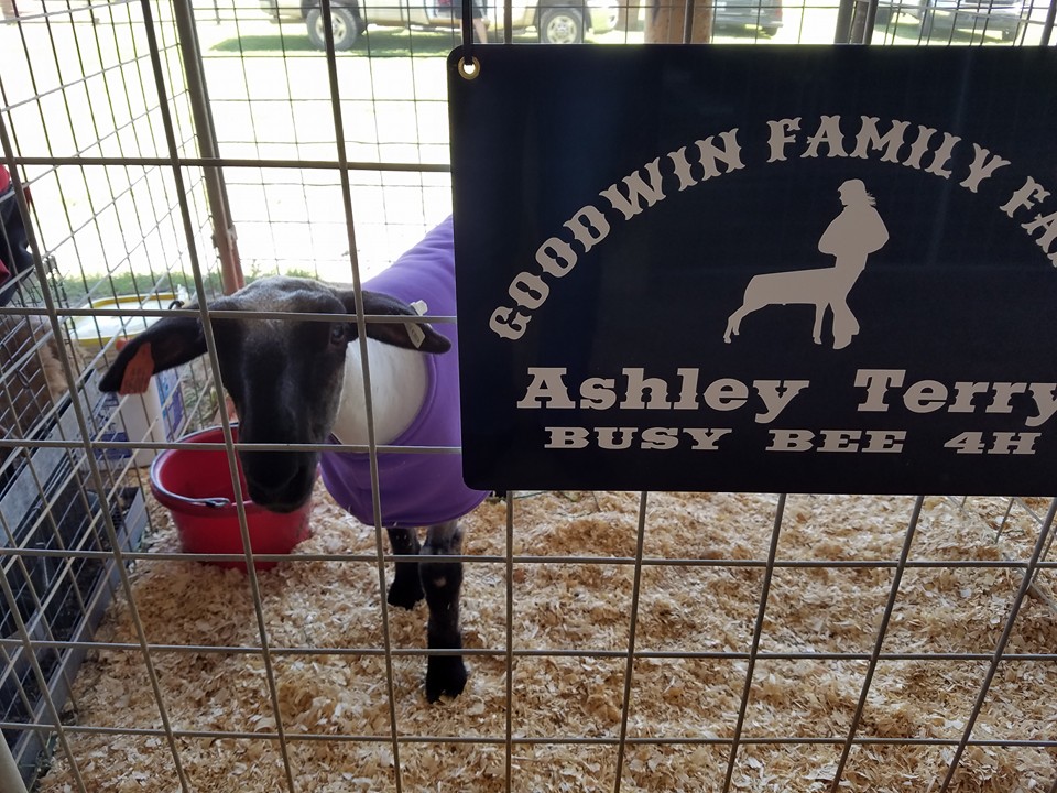 Arkansas Farm Girl Amanda G., loves to be naked and exposed