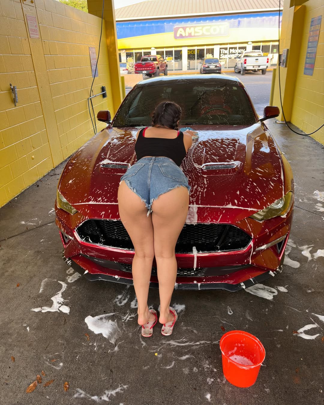 Latin Thick Booty 51