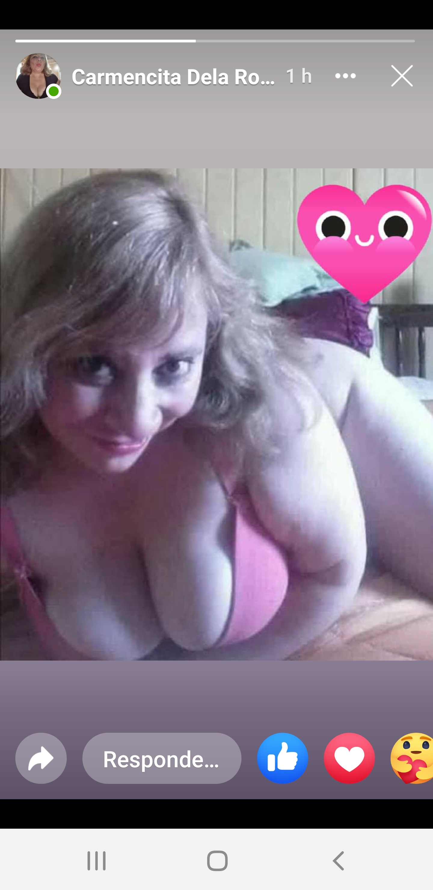 Sara Sanhueza Constanzo - https://www.facebook.com/carmyn.de