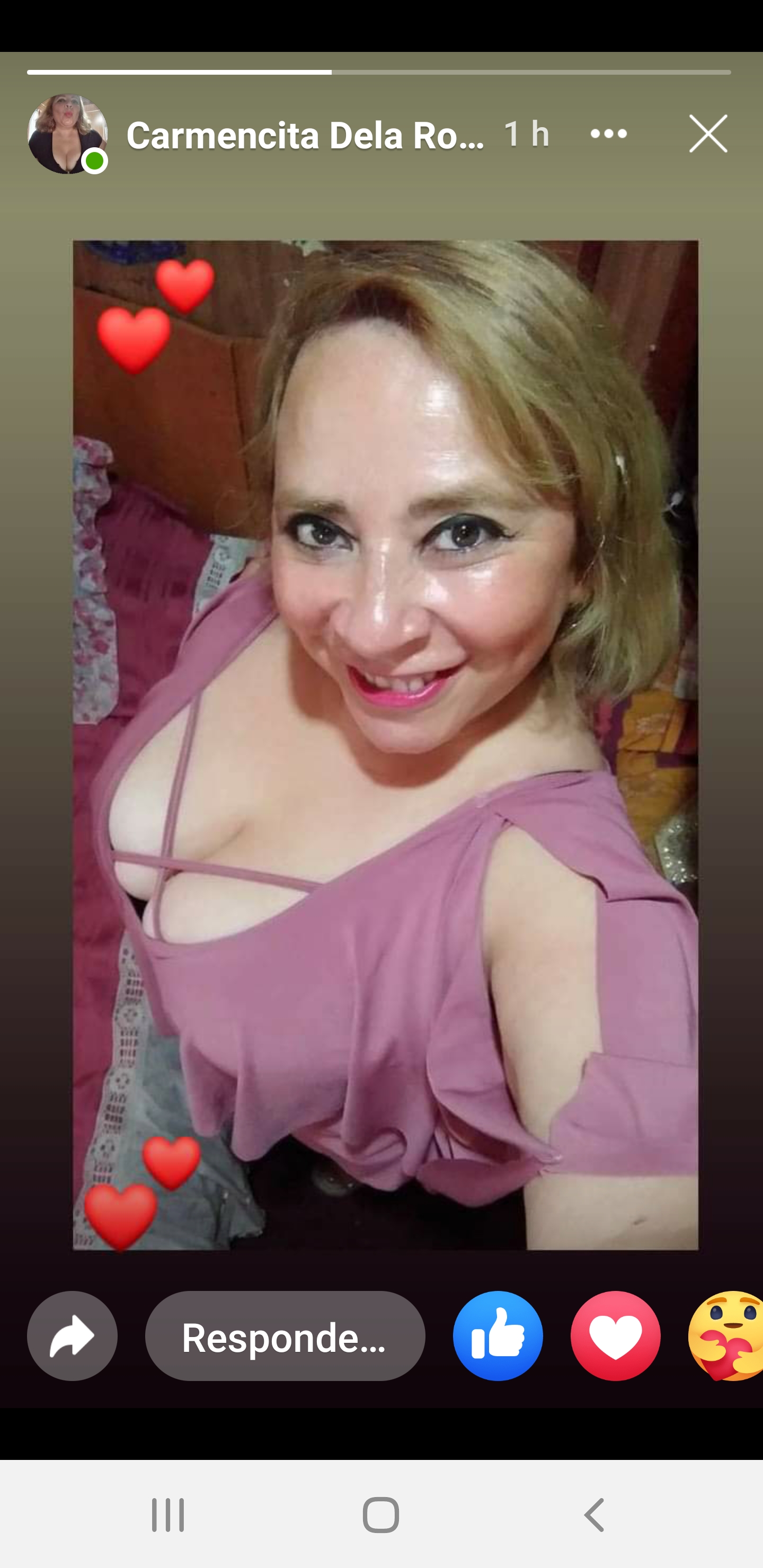 Sara Sanhueza Constanzo - https://www.facebook.com/carmyn.de