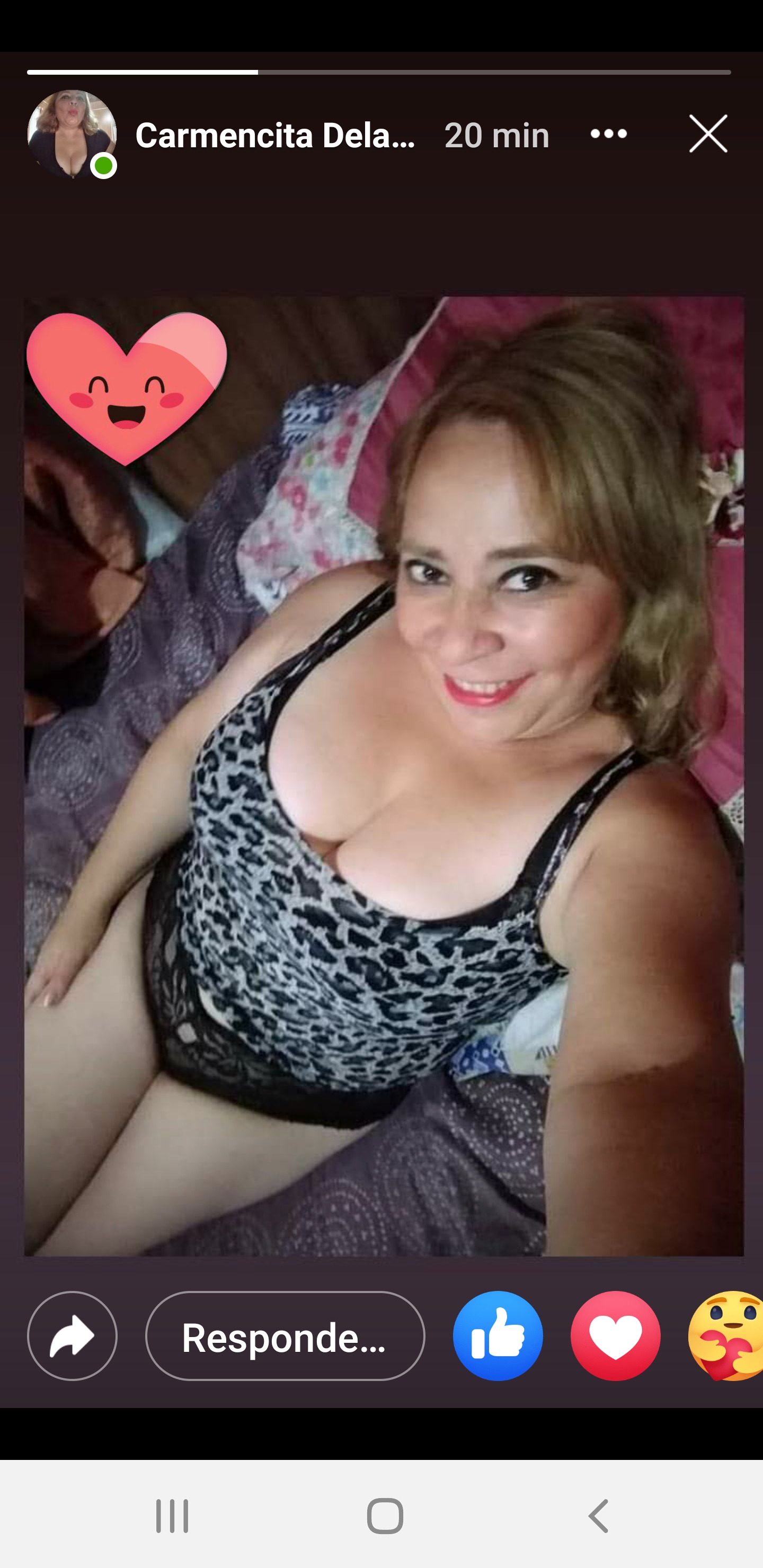 Sara Sanhueza Constanzo - https://www.facebook.com/carmyn.de
