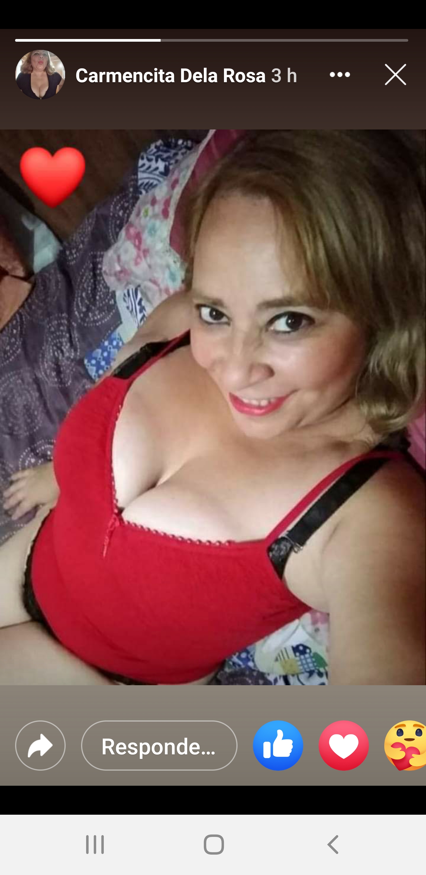 Sara Sanhueza Constanzo - https://www.facebook.com/carmyn.de