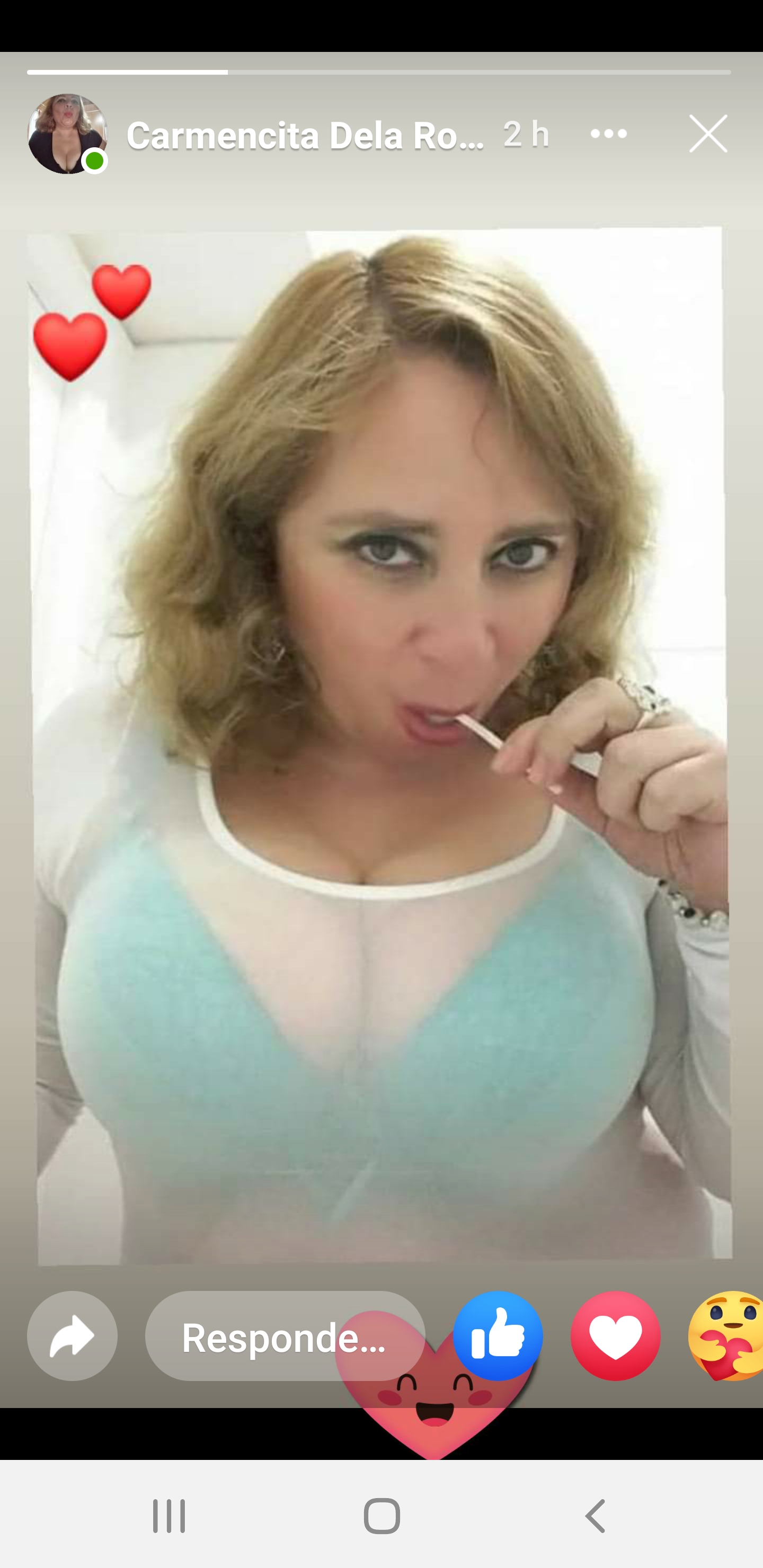 Sara Sanhueza Constanzo - https://www.facebook.com/carmyn.de