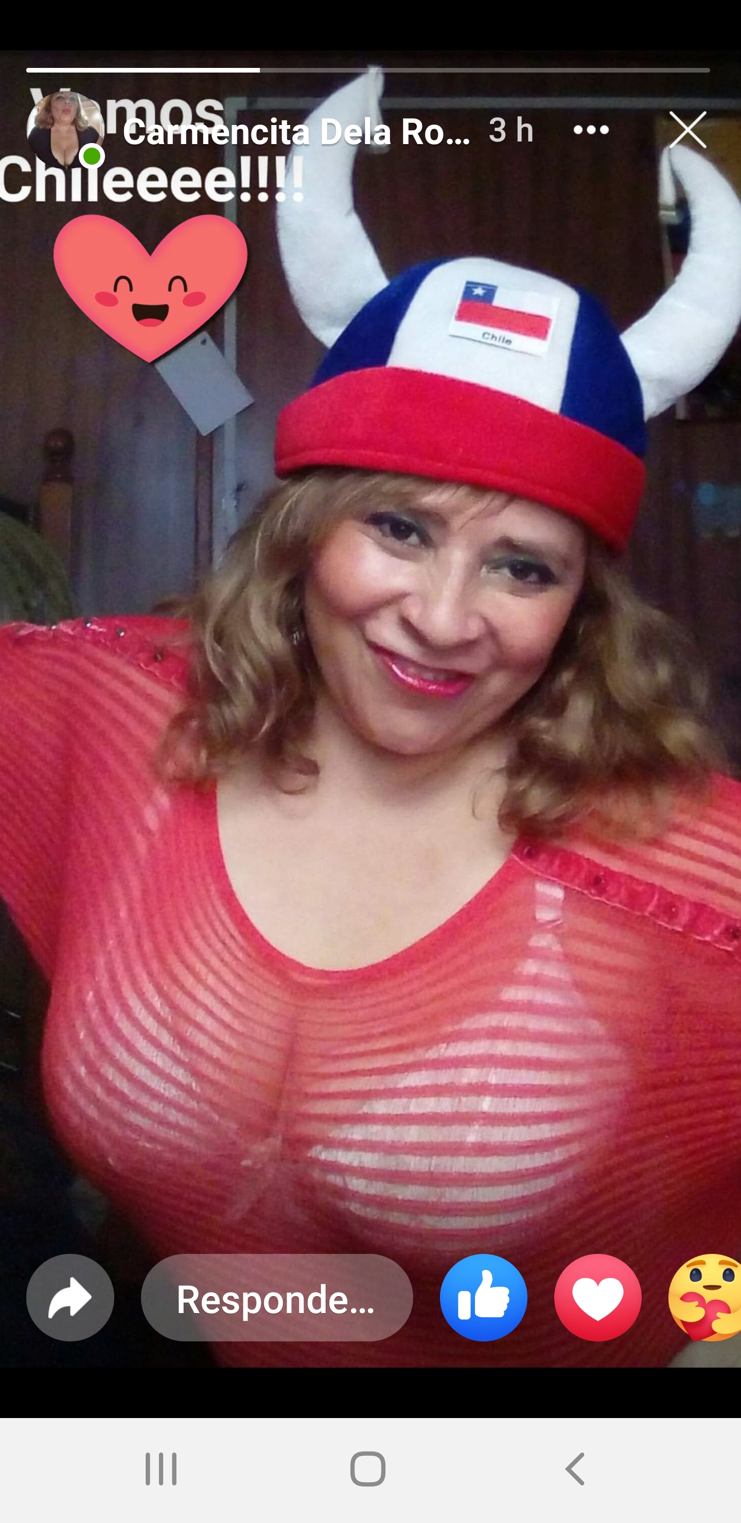 Sara Sanhueza Constanzo - https://www.facebook.com/carmyn.de