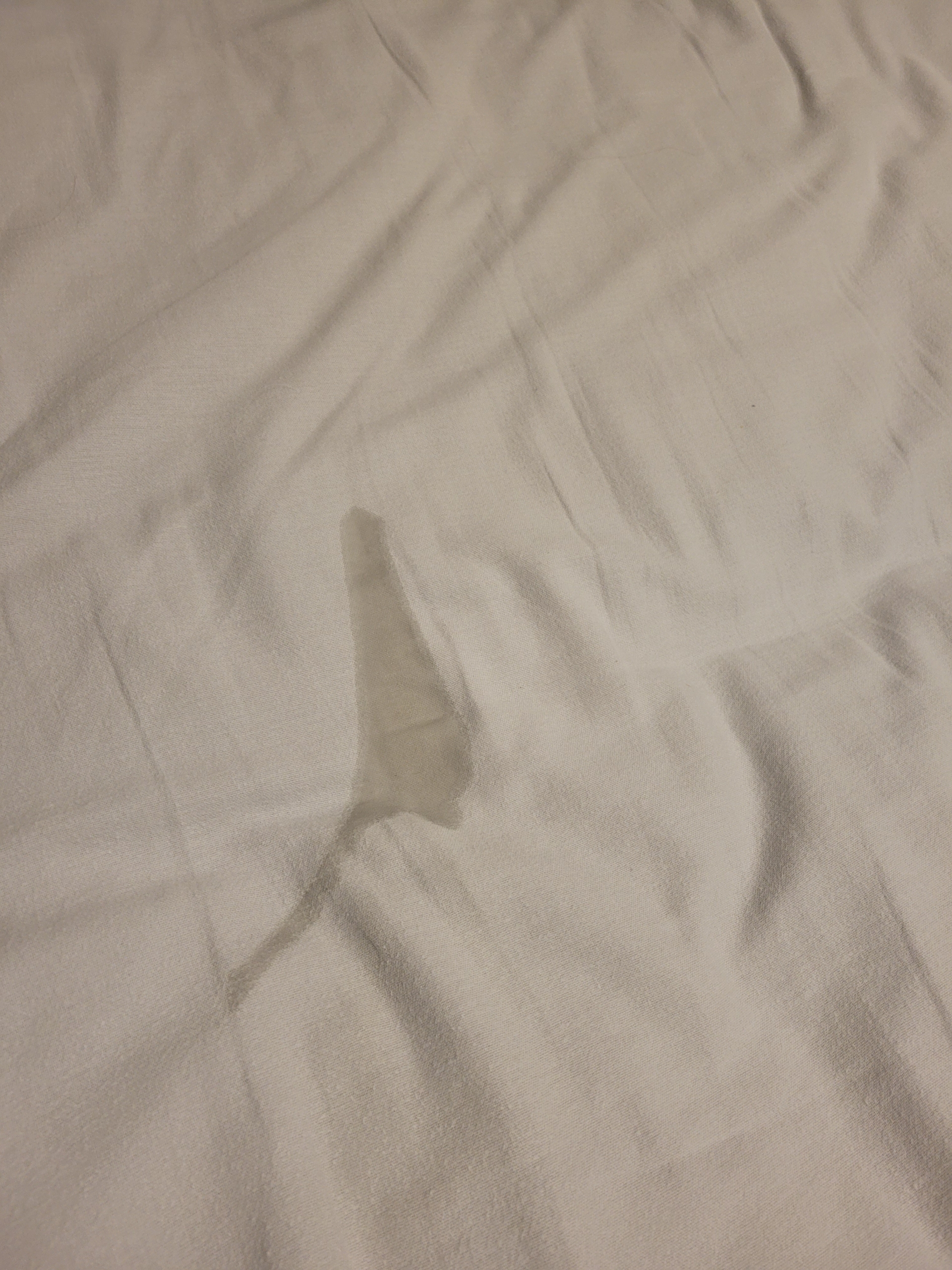 Beth Dollmatsch, huge tits bbw