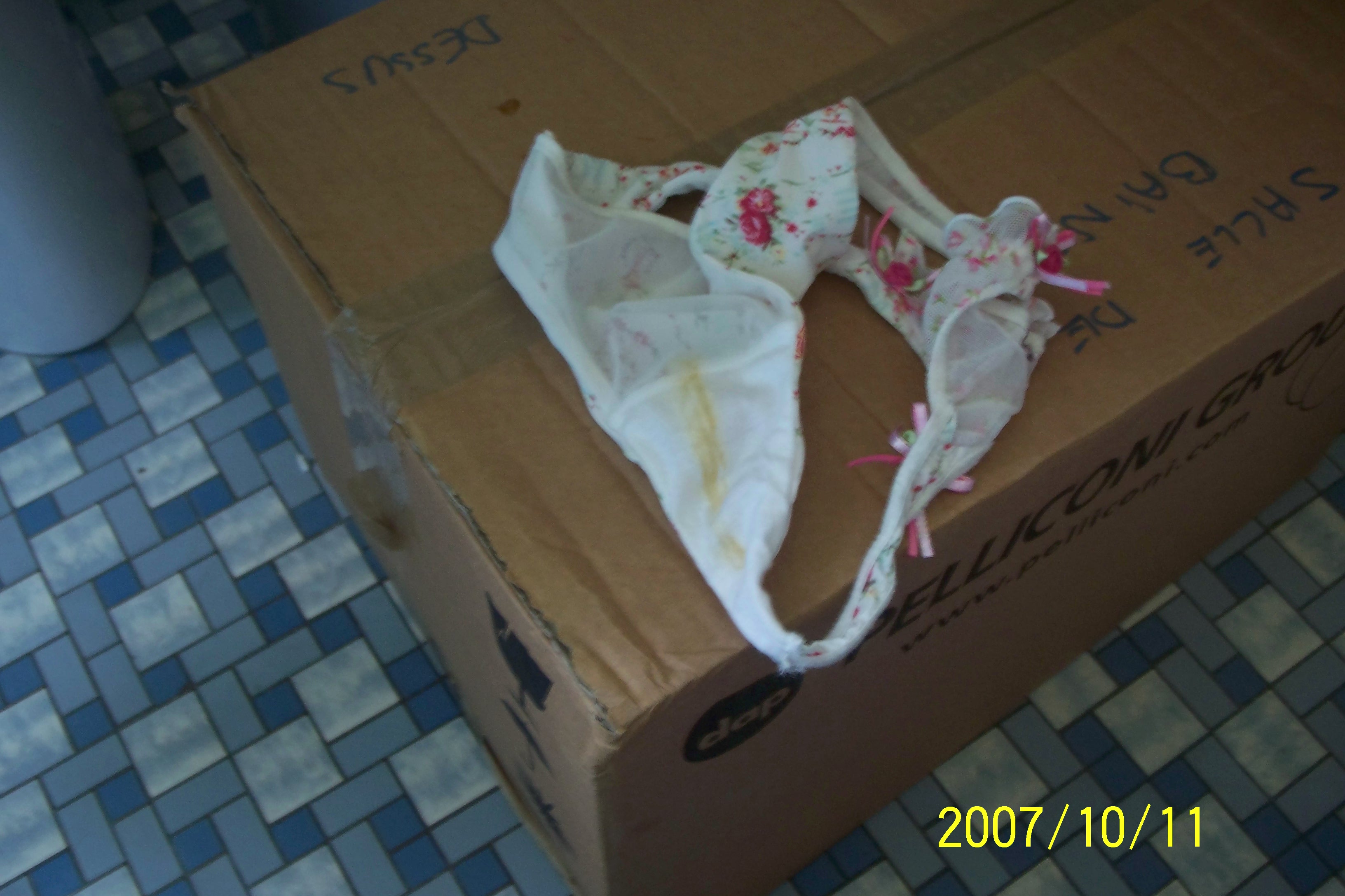 PANTIES COLLECTION