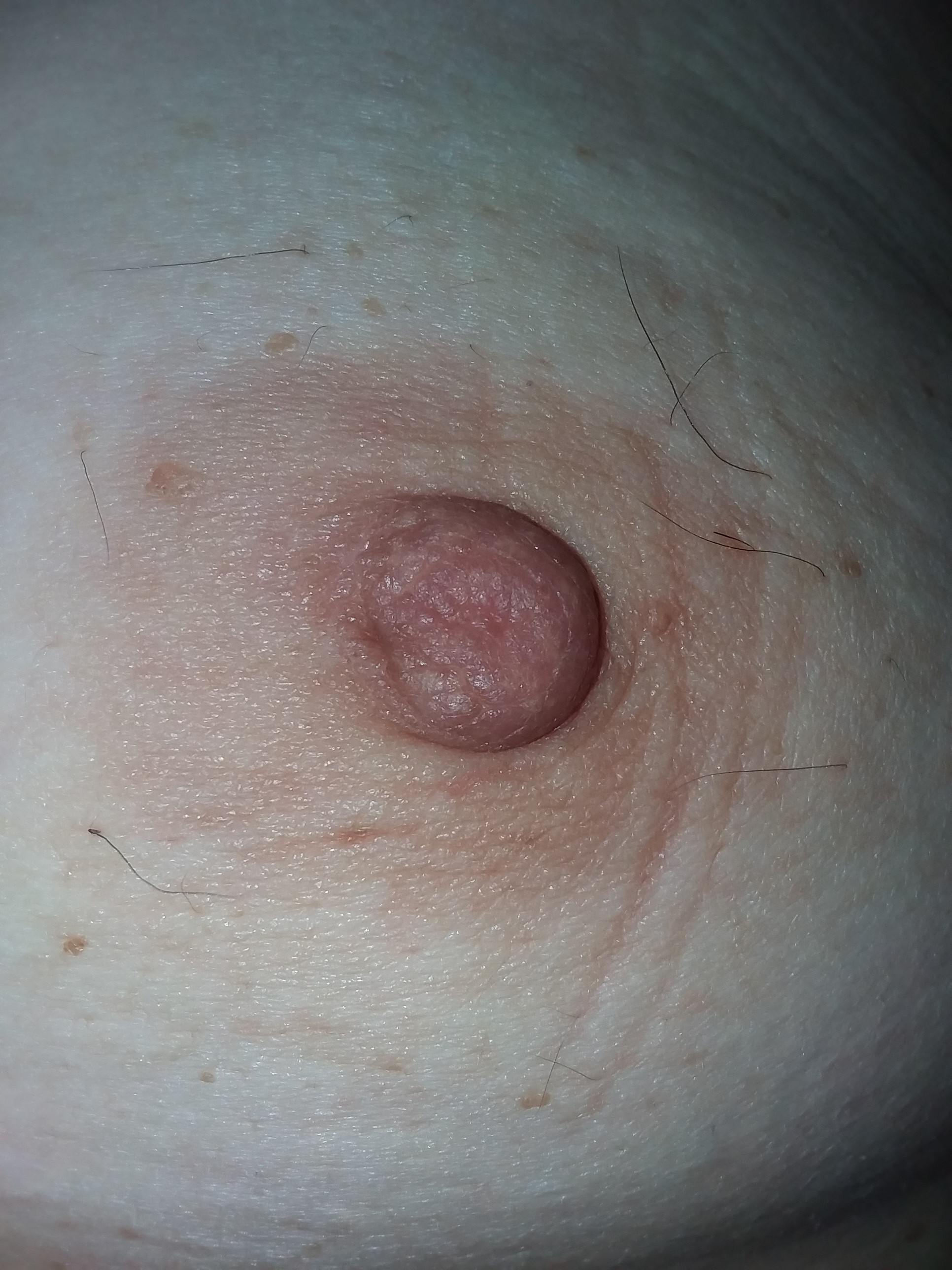 Tracey Stoute-Greene Bajan whore