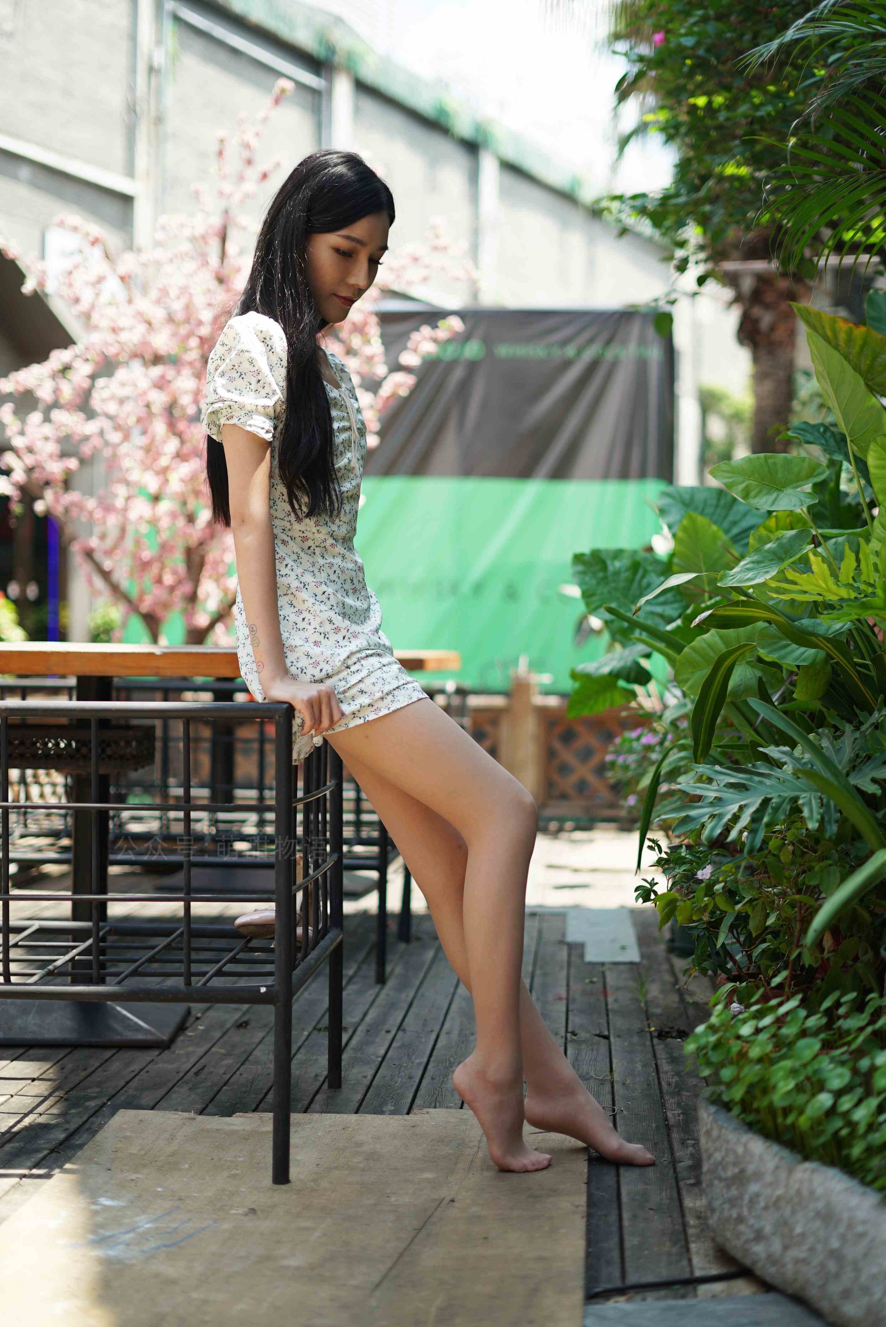 China Beauty Legs and feet 1684