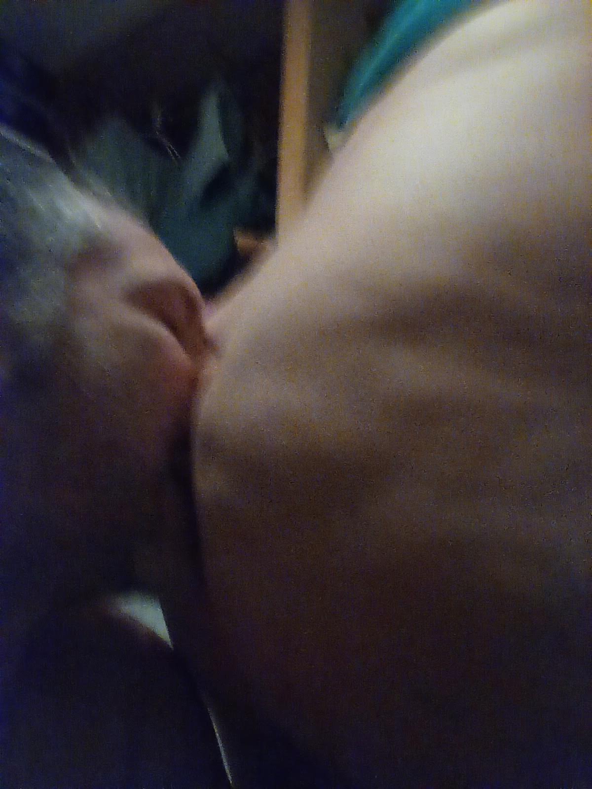 Tracey Stoute-Greene