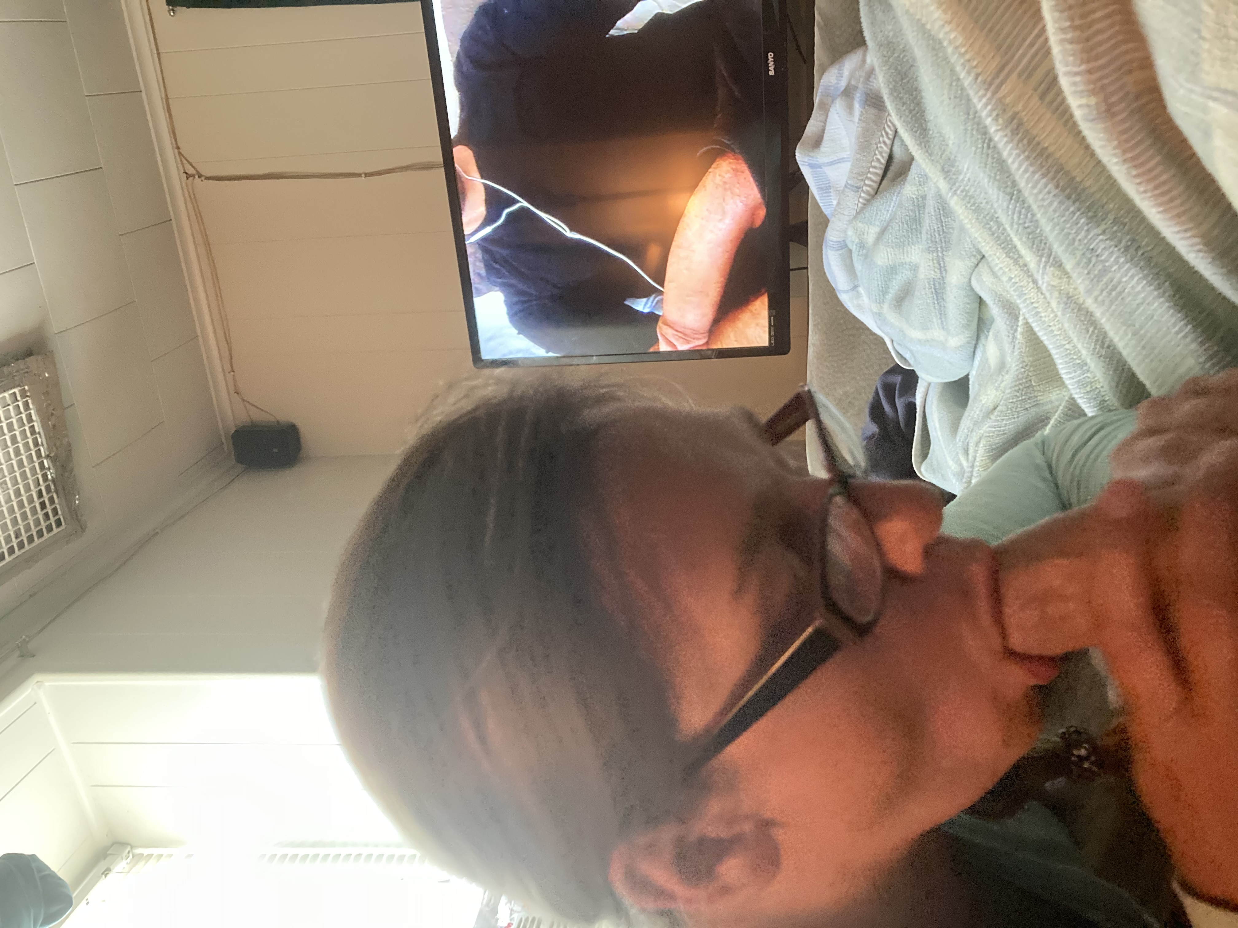 Sexy Girl With Glasses Sucking Cock