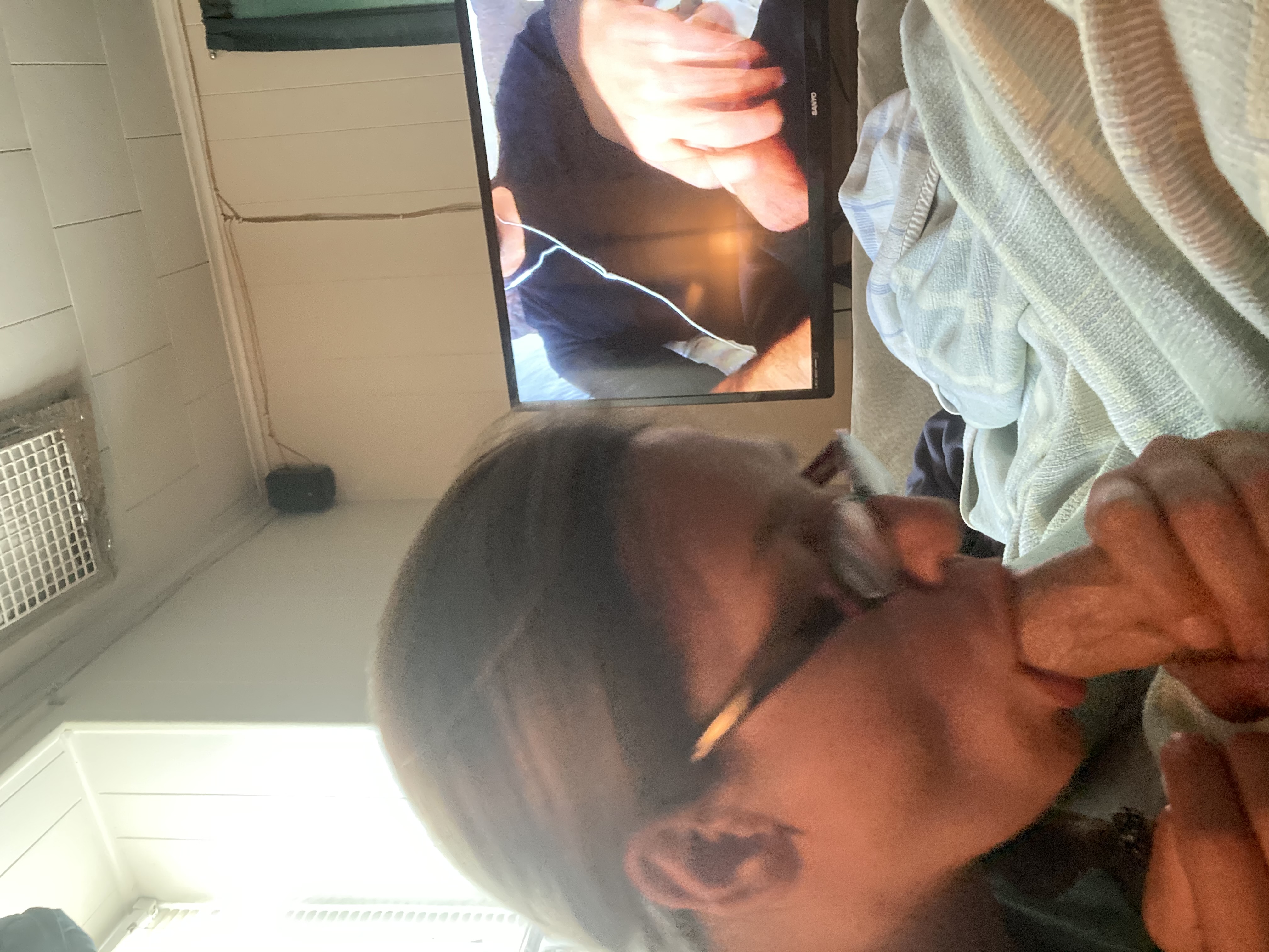 Sexy Girl With Glasses Sucking Cock