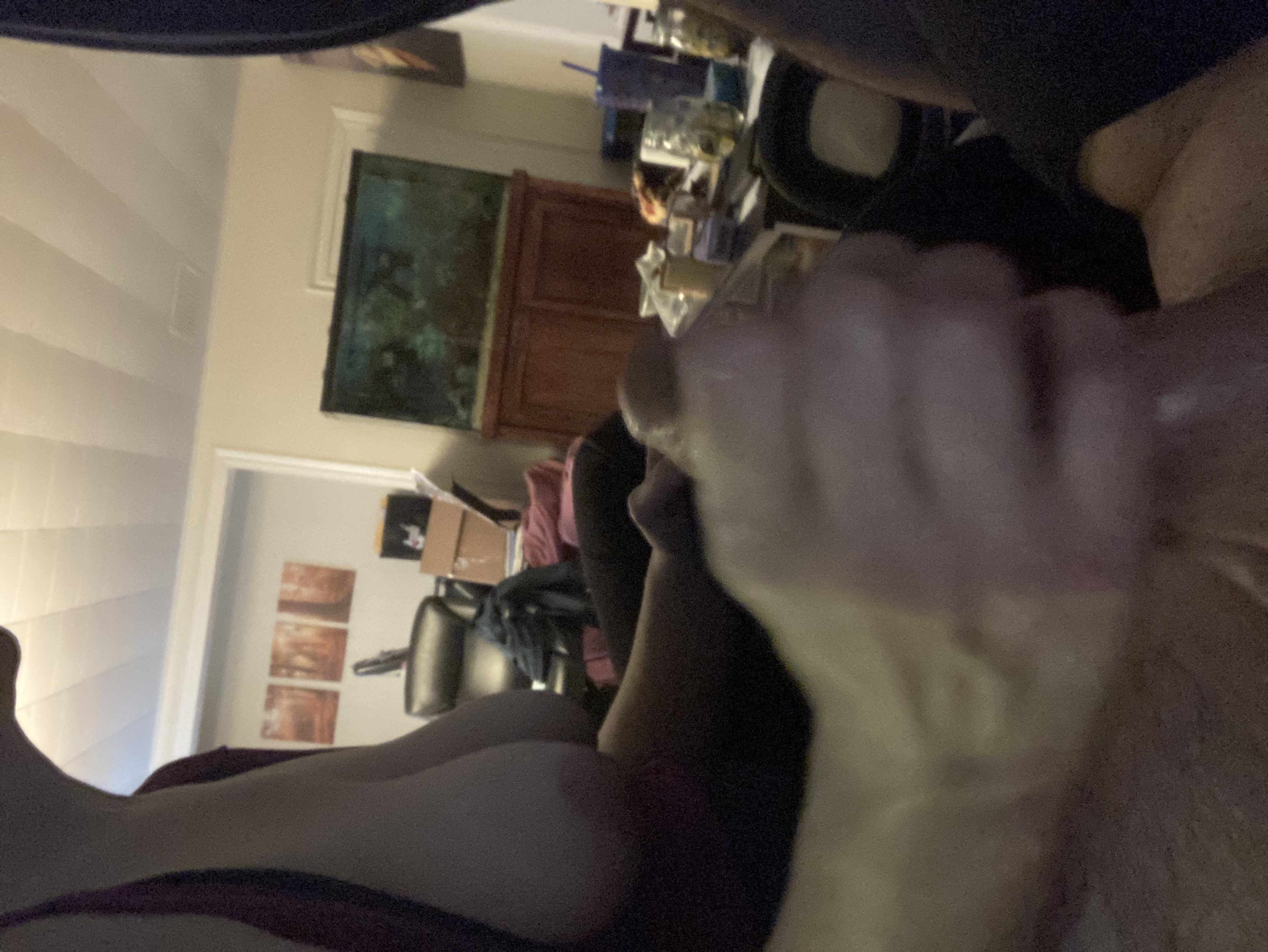 Sexy Blonde Girl With Glasses Assortment