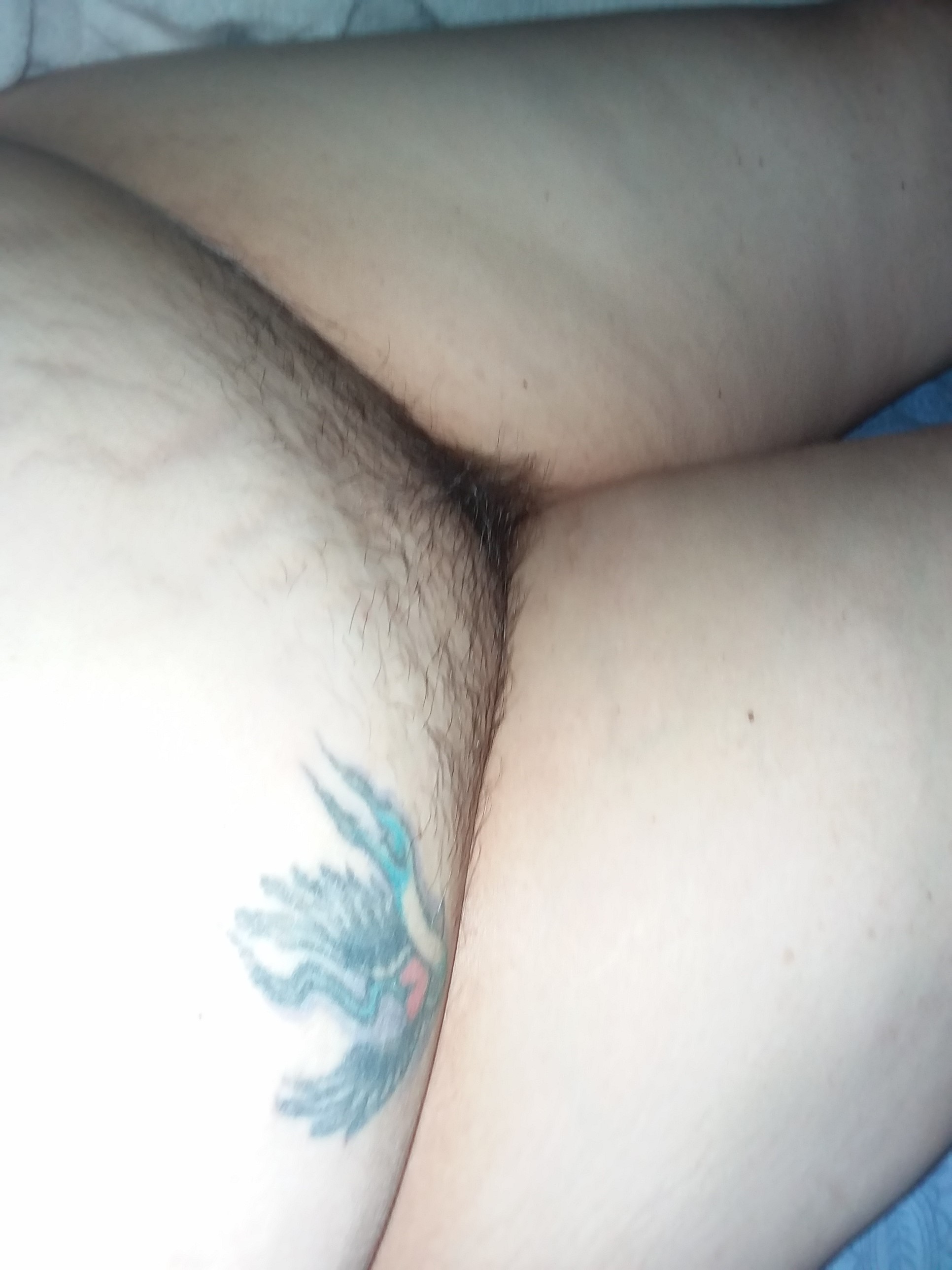 Tracey Stoute-Greene