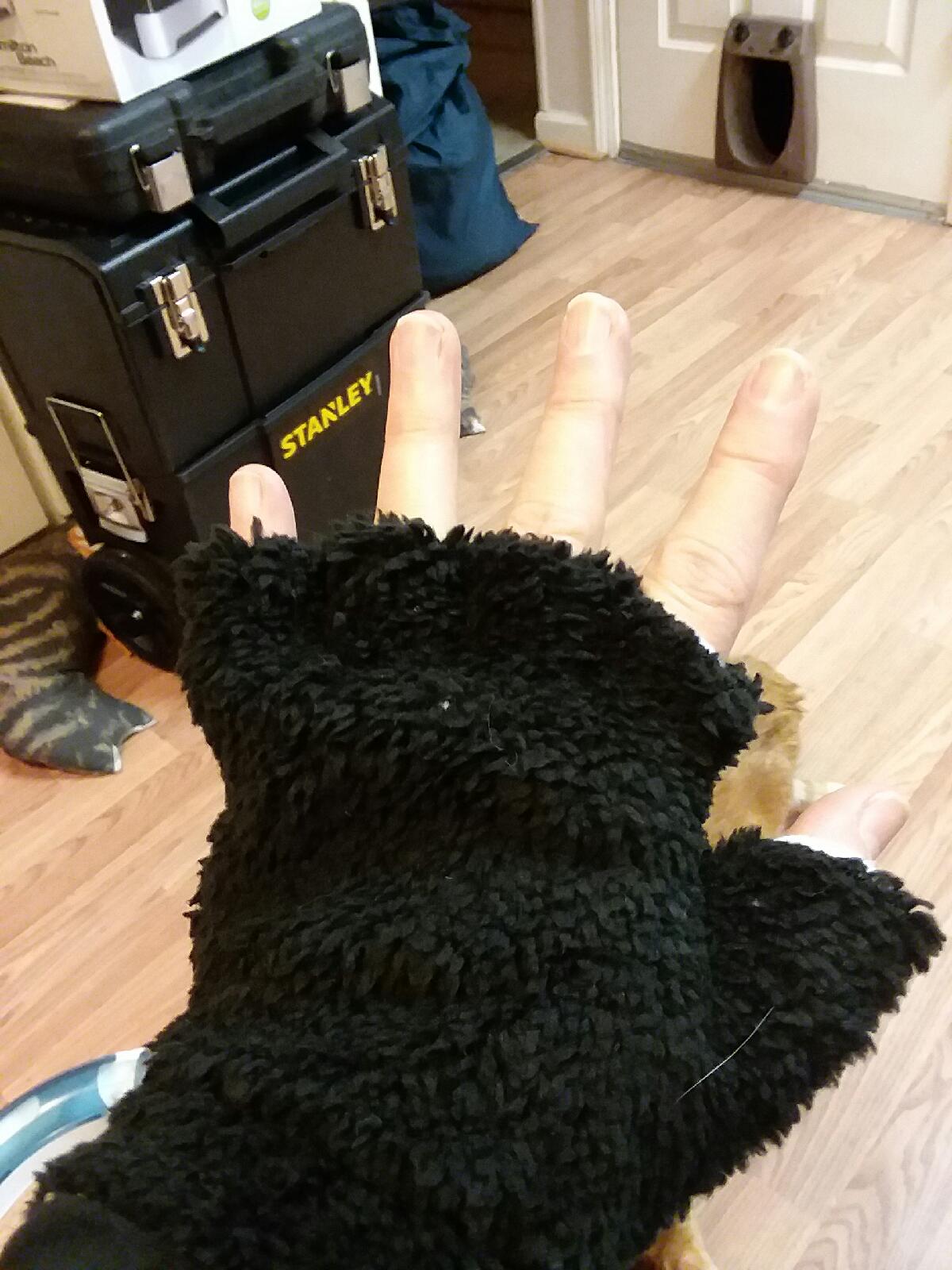 Tracey Stoute-Greene