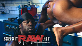 Breed It Raw