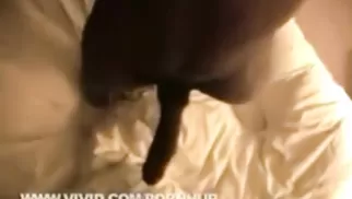Rayj Porn Video