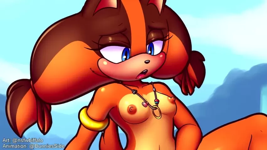 Sonic Porn - Sticks the Badger Masturbation - Sonic Porn - Shooshtime