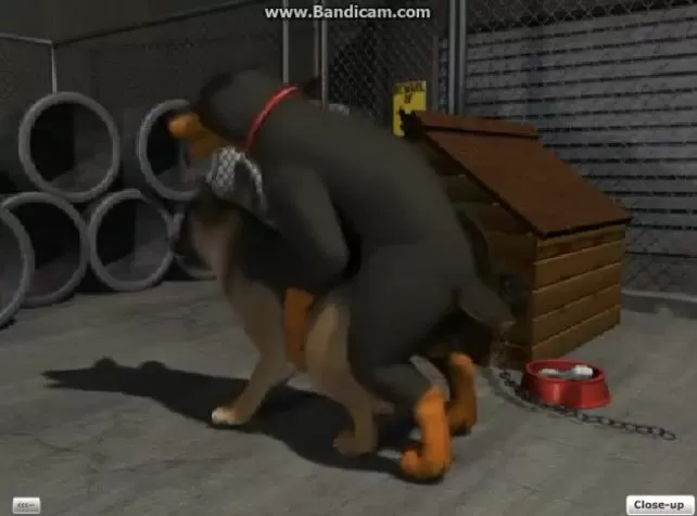 Animated Dog Knot Sex - 2 DOGS YIFF - SHORT ANIMATION - Shooshtime