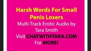 Harsh Reality 4 Small Penis Men SPH Erotic Audio Multi-Track Trance Layer