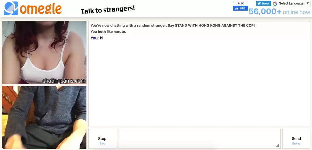 Sex chat with strangers