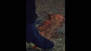 Boot Crush-double Tomato and Muffin Stomp