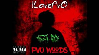 ILovePvO - PvO Woods 5