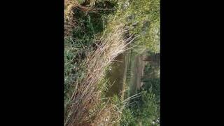 Вылизала киску в общественном месте с видом на реку (рискованный секс) - Lesbian_illusion