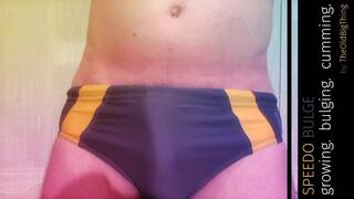SPEEDO BULGE - Growing. Bulging. Cumming.