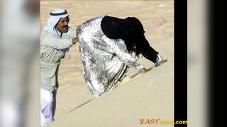 Turkish-arabic-asian hijapp mix photo 28