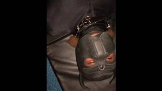 Darlex sleepsack and first night with Vixen