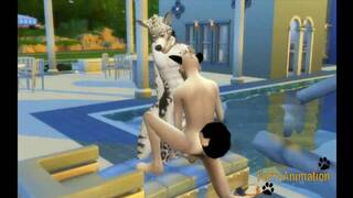 Furry Yaoi - Dog and Snow Leopard Sex in a Swimming pool