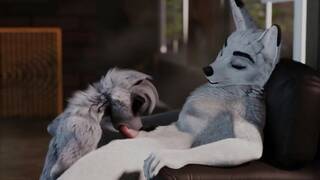 Wolf gets a blowjob-Furry Yiff