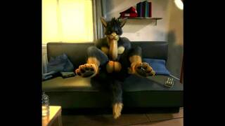 H0RS3 Compilation - (Gay Yiff Comp) - Compiled by AznChubLuvr