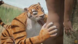 Wild Life / Tiger Furry Girl catch its prey